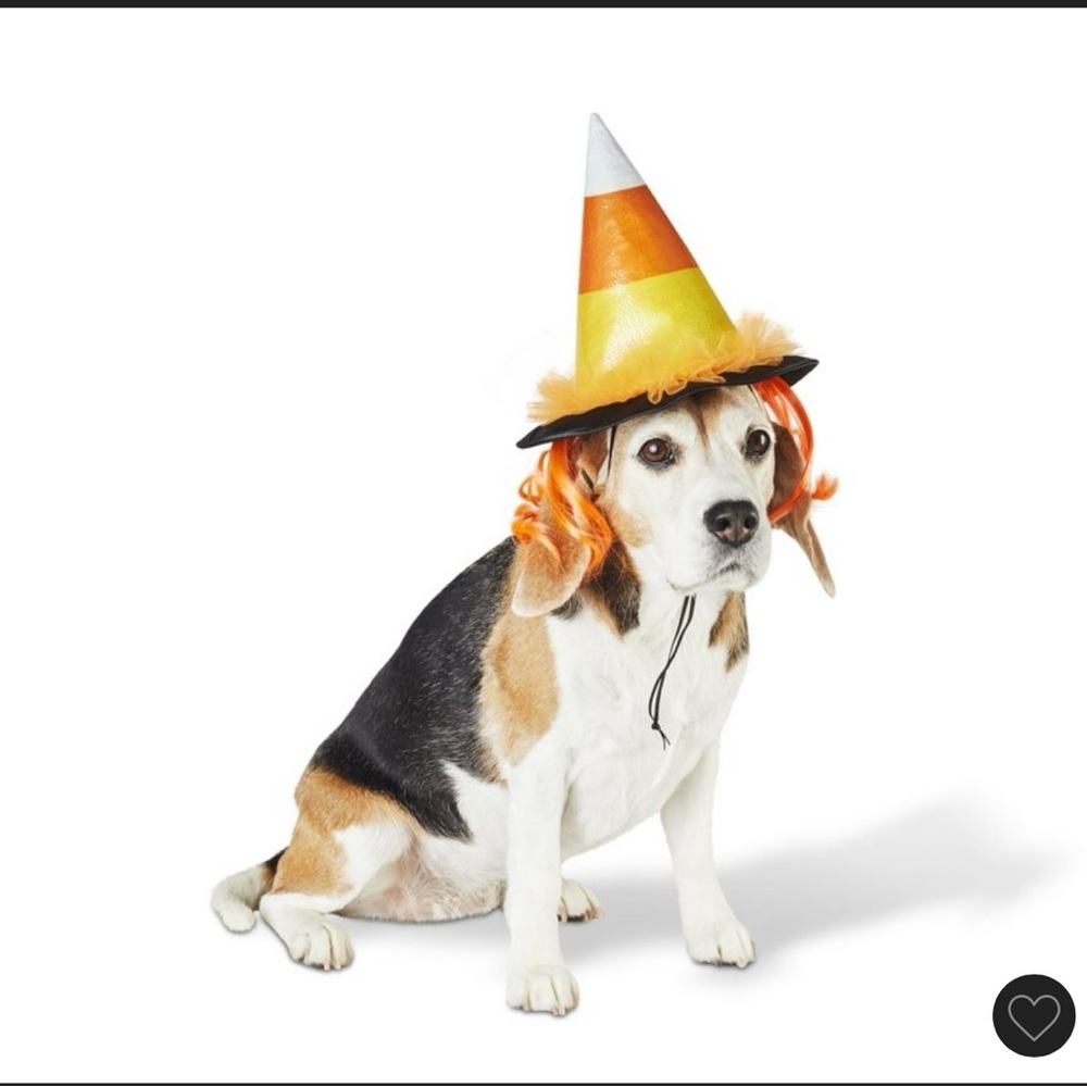 Hyde and Eek! Pet Candy Corn Witch Hat Costume Size S/M New